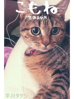 cover image of こもね～生後9か月～